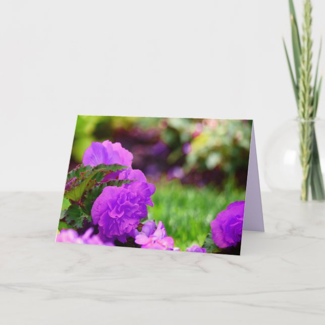 Purple Double Wax Begonias, Blank Inside Card (Front)