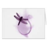 Purple Dragonfly at Zazzle