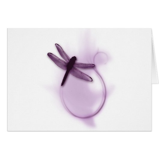 Purple Dragonfly Cards (Front Horizontal)