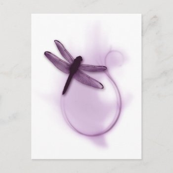 Purple Dragonfly Postcard by Amitees at Zazzle