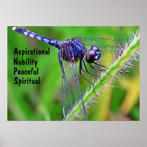 Purple Dragonfly Spirit Traits Poster