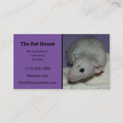 Purple Dumbo Rat Breeder Rattery Business Card