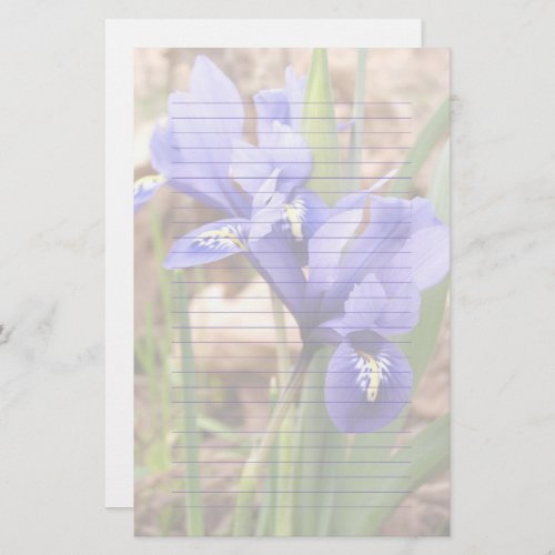 Purple Dwarf Iris Floral Lined Paper Stationery