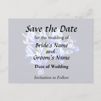 Purple Dwarf Iris Heart Announcement Postcard