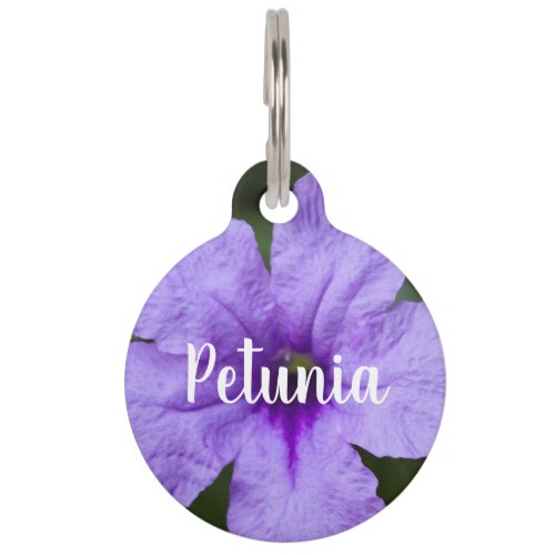 Purple Dwarf Mexican Petunia Pet ID Tag