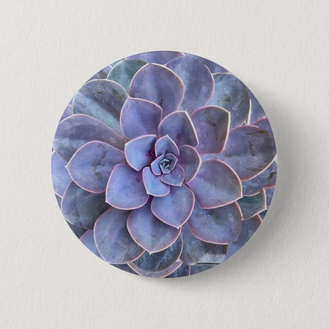 Purple Echeveria Succulents Button (Front)