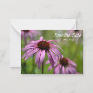 Purple Echinacea Cone Flowers Save the Date Note Card