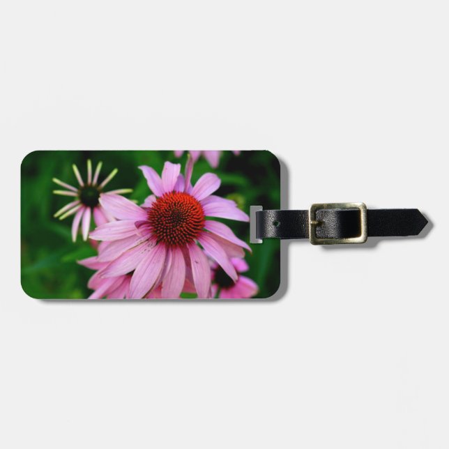 purple echinacea flower closeup tag (Front Horizontal)