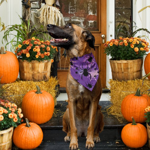 Purple Eek Chic Spider Web Bandana for Pets