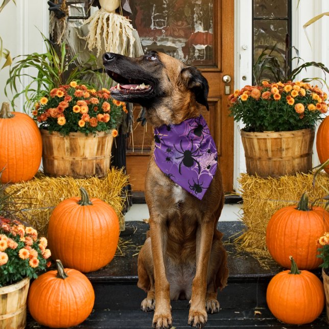 Purple Eek Chic Spider Web Bandana for Pets (Creator Uploaded)