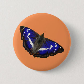 Purple Emperor Butterfly Pinback Button