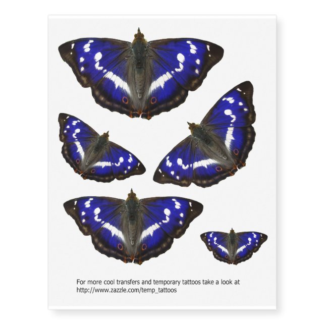 Purple emperor butterfly transfers temporary tattoos (Front)