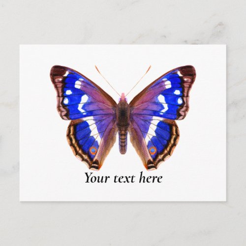 Purple Emperor Butterfly Watercolor Art Postcard