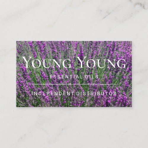 Purple Essential Oils Lavender flowers Business Card