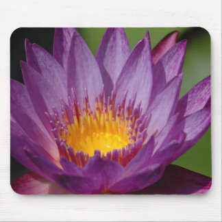 Purple Explosion Mouse Pad