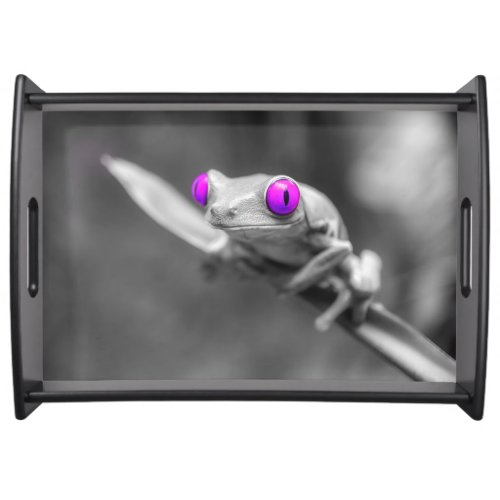 Purple_eyed frog serving tray