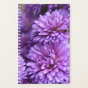 Purple Fall Mum Petal Photo Planner