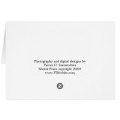 Purple Fields (Back Horizontal)