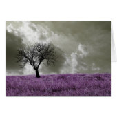 Purple Fields (Front Horizontal)