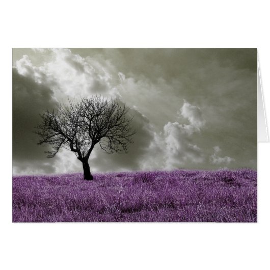 Purple Fields (Front Horizontal)