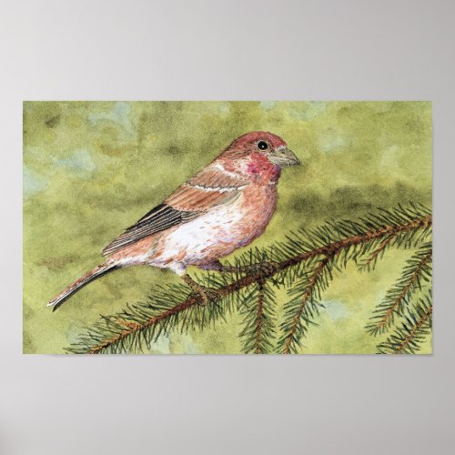 Purple Finch Art Poster