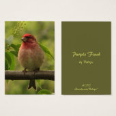Purple Finch ATC (Front & Back)