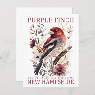 Purple Finch Bird of New Hampshire USA Travel Postcard