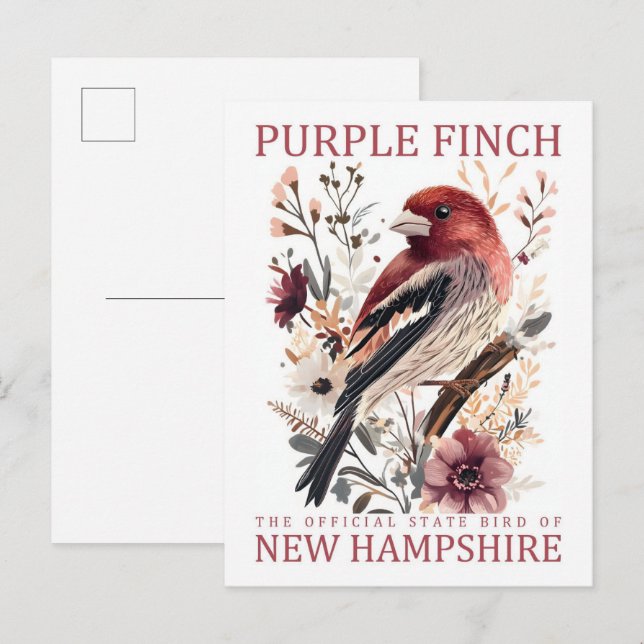 Purple Finch Bird of New Hampshire USA Travel Postcard (Front/Back)
