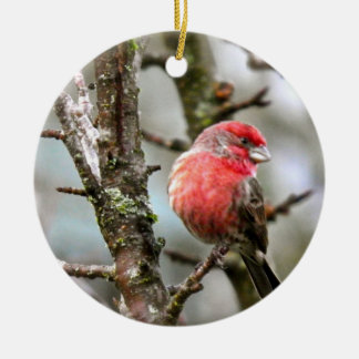 Purple Finch Ceramic Ornament