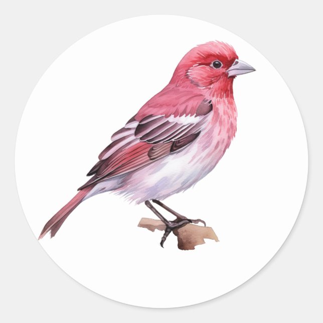 Purple Finch Classic Round Sticker (Front)