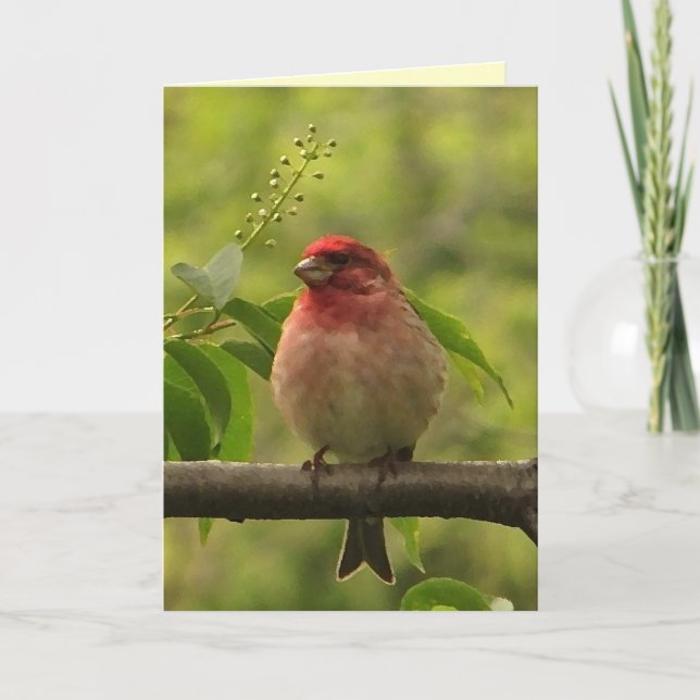 Purple Finch Fathers Day Card (Front)