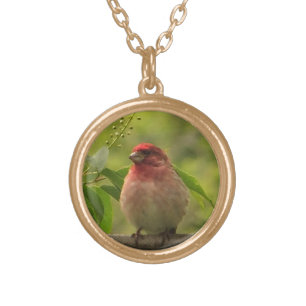 Purple Finch Gold Plated Necklace