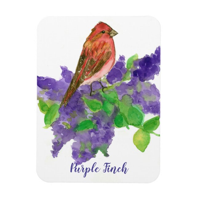 Purple Finch Lilacs Watercolor Flowers Magnet (Vertical)