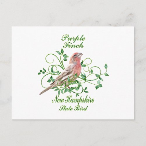 Purple Finch New Hampshire State Bird Postcard