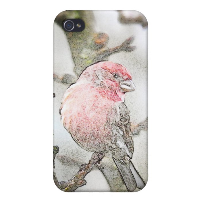 Purple Finch Partial Sketch iPhone 4/4S Case