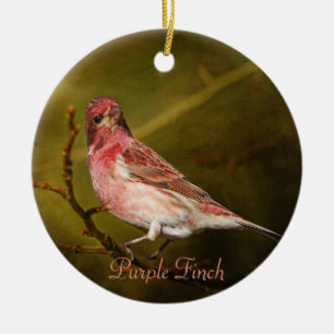 Purple Finch Photography Round Ceramic Ornament