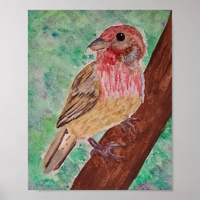 Purple Finch  Poster (Front)