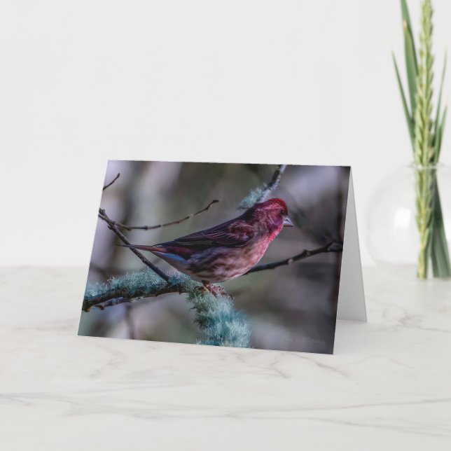Purple Finch Thank You Card (Front)