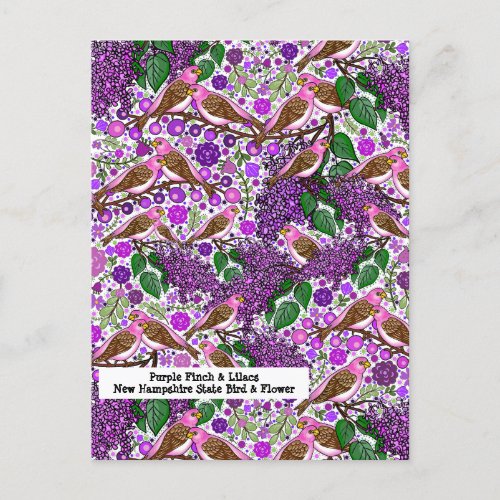 Purple Finches Lilacs _ NH State Bird and Flower Postcard