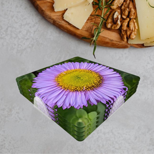 Purple Fleabane Daisy Floral Coaster Set (In Situ Set)