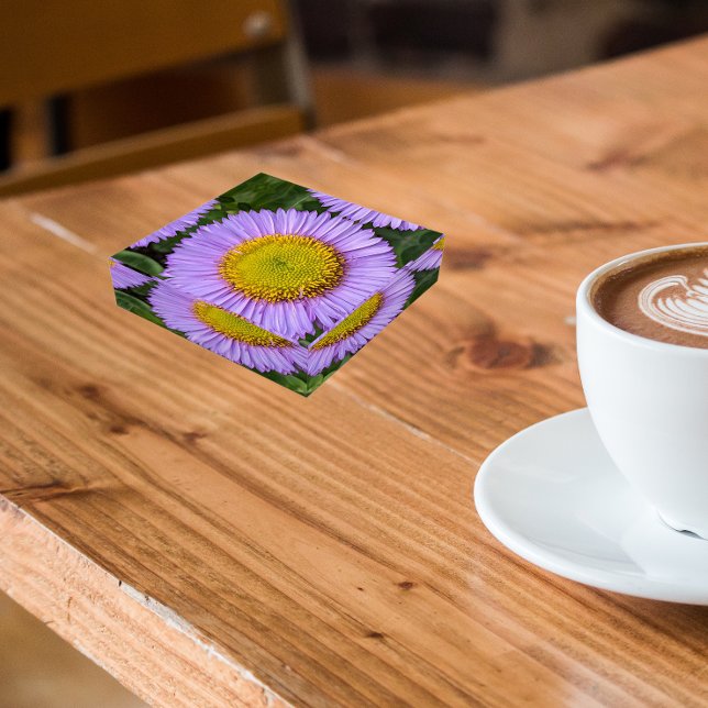 Purple Fleabane Daisy Floral Paperweight (In Situ)