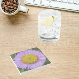 Purple Fleabane Daisy Floral Stone Coaster