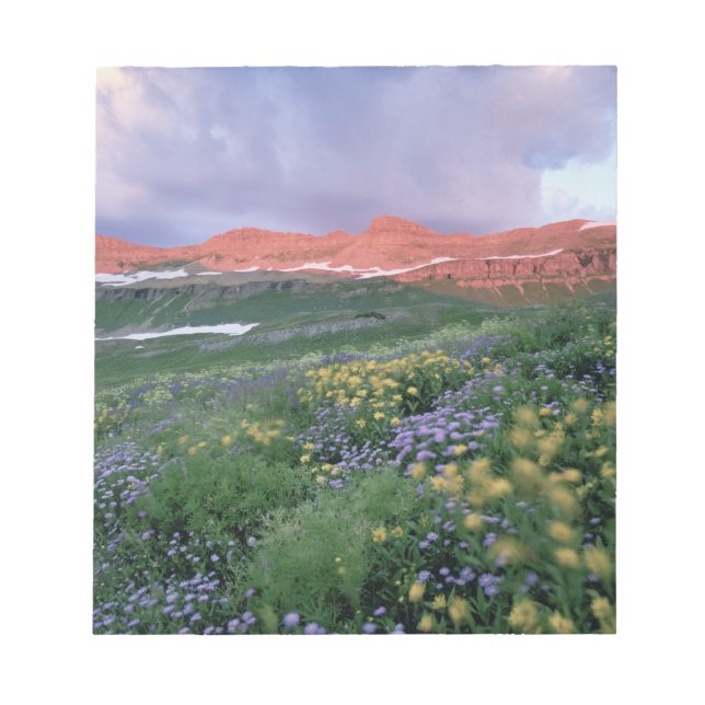 Purple Fleabane (erigeron peregrinus) and Yellow Notepad (Front)