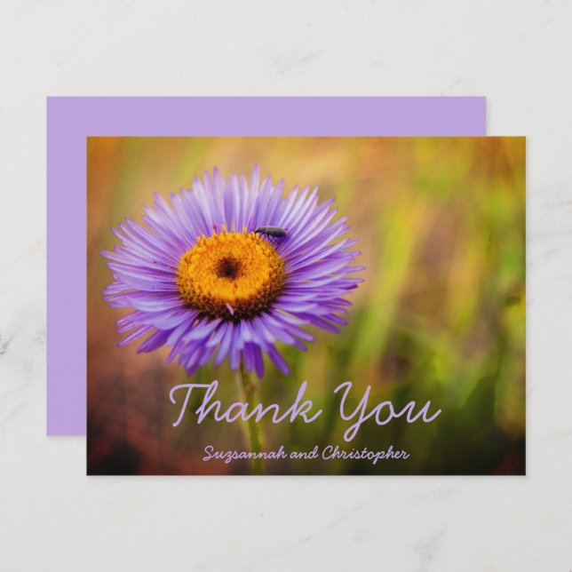 Purple Fleabane Flower and Insect Personalized (Front/Back)