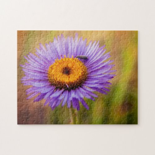 Purple Fleabane Flower and Insect Photograph Jigsaw Puzzle