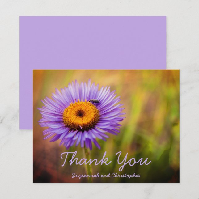 Purple Fleabane Flower & Bug Personalized Postcard (Front/Back)