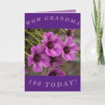 Purple Floral 100th Birthday Card for Grandma<br><div class="desc">Beautiful purple cranesbill geranium flowers make a great image for this colourful 100th birthday card for Grandma.  All text can easily be personalized.</div>