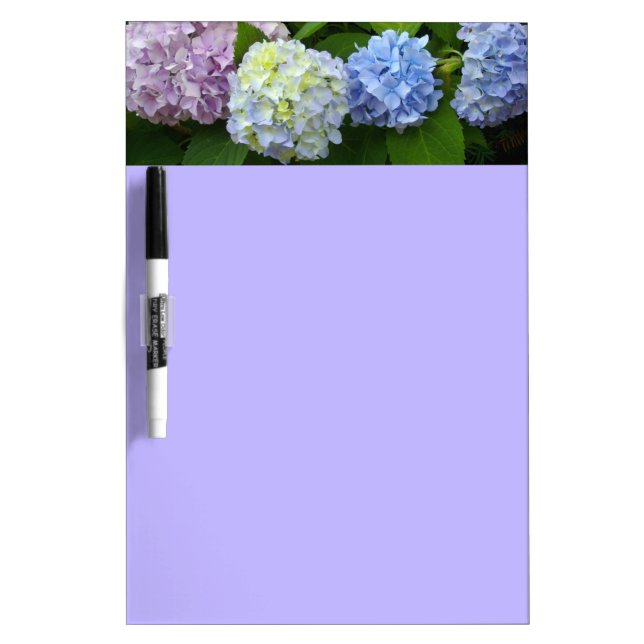 purple floral blue floral pink floral Hydrangeas Dry-Erase Board (Front)