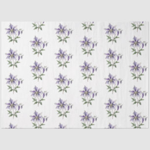 Purple Floral Botanical Wildflower  Tissue Paper