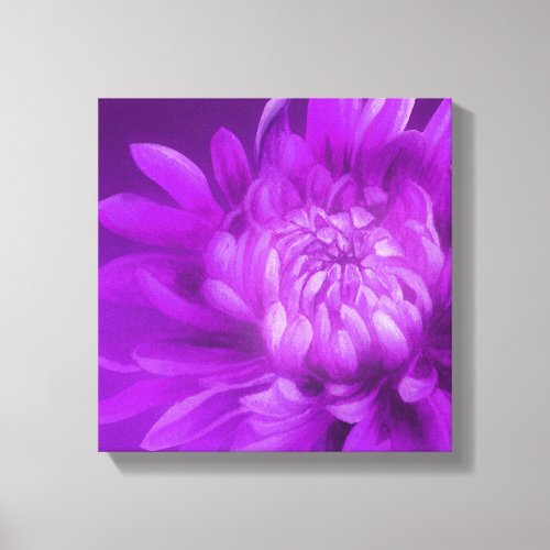 Purple floral chrysanthemum canvas art print